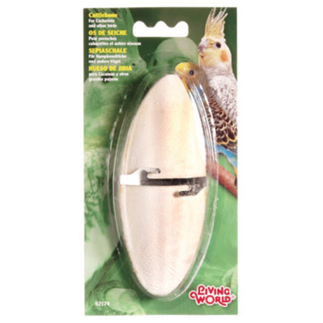 Living World Cuttlebone with Holder***Clearance****
