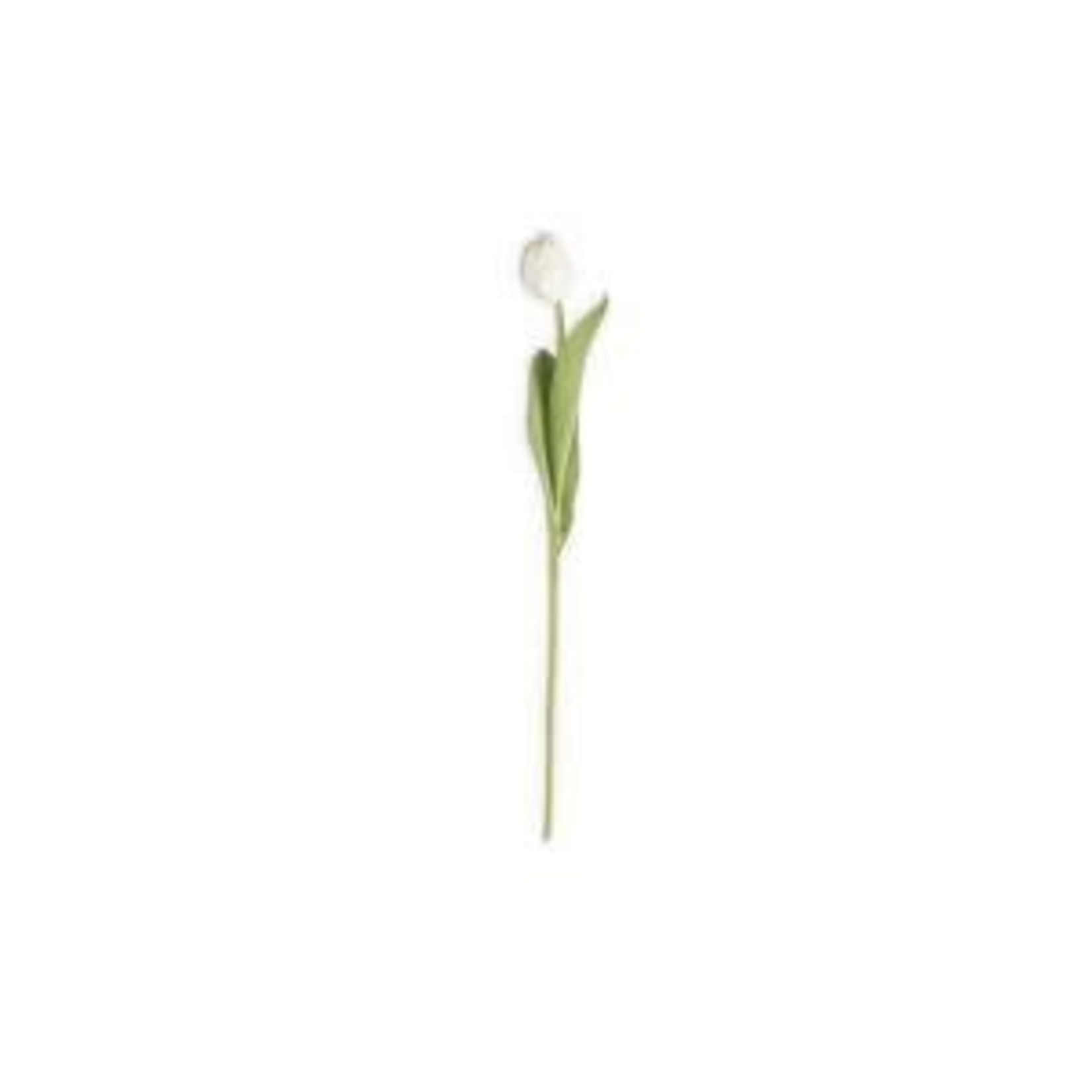 White Silk Real Touch Single Tulip 26.75''