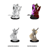 WizKids D&D Minis: Wave 11 - Lich and Mummy Lord