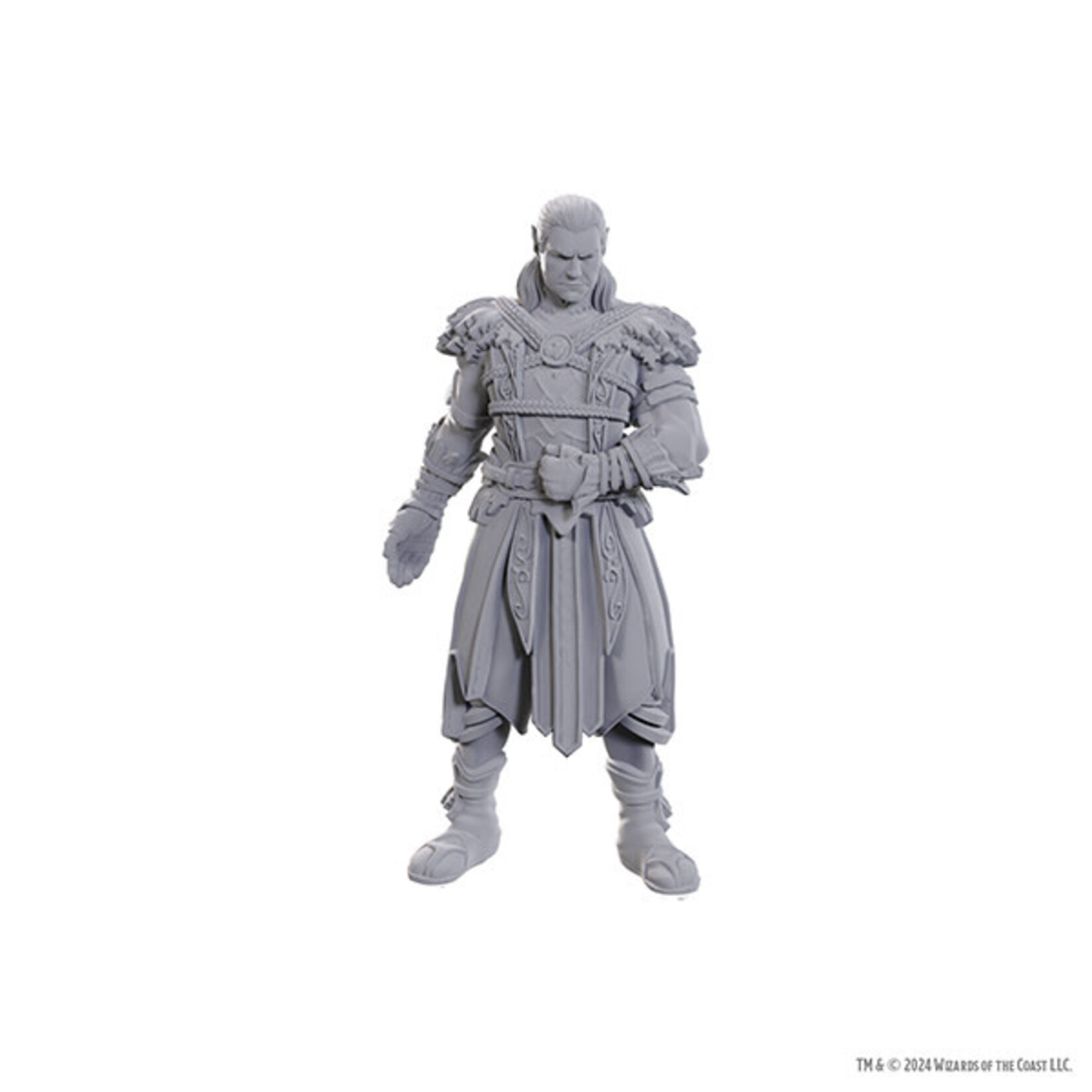 WizKids D&D Nolzur's Marvelous Minis: Baldur's Gate 3 - Jaheira & Halsin