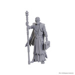 WizKids D&D Nolzur's Marvelous Minis: Baldur's Gate 3 - Volo & Withers