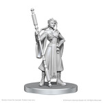 WizKids Critical Role Unpainted Miniatures: Wave 26- Beauregard Lionett & Caleb Widogast