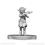 WizKids Critical Role Unpainted Miniatures: Wave 26- Veth Brenatto & Nott the Brave