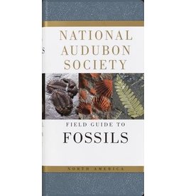 BOOK AUDUBON FIELD GUIDE FOSSILS
