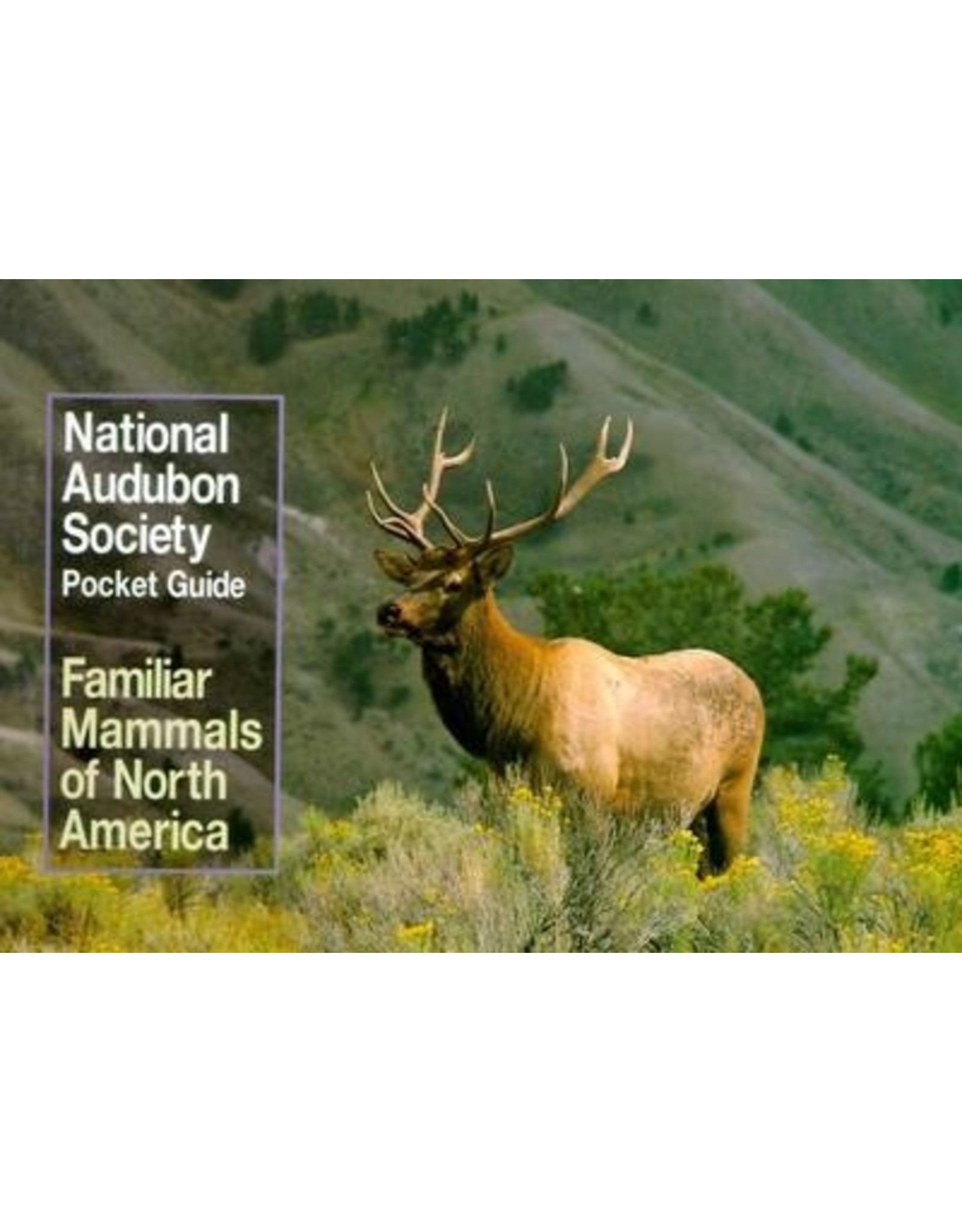 BOOK AUDUBON POCKET FAMILAIR MAMMALS