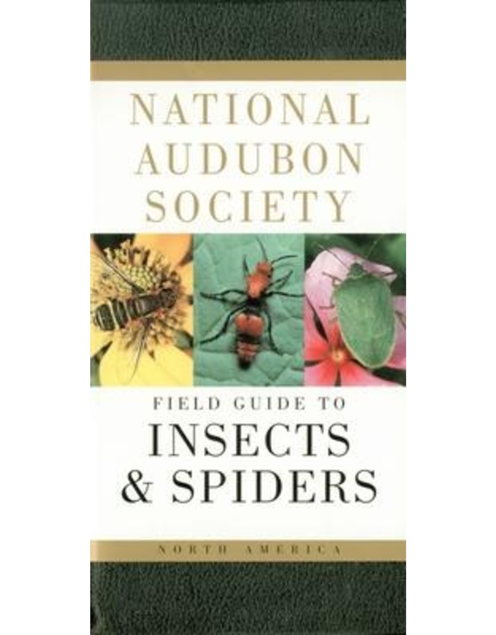 BOOK AUDUBON FIELD GUIDE INSECTS AND SPIDERS