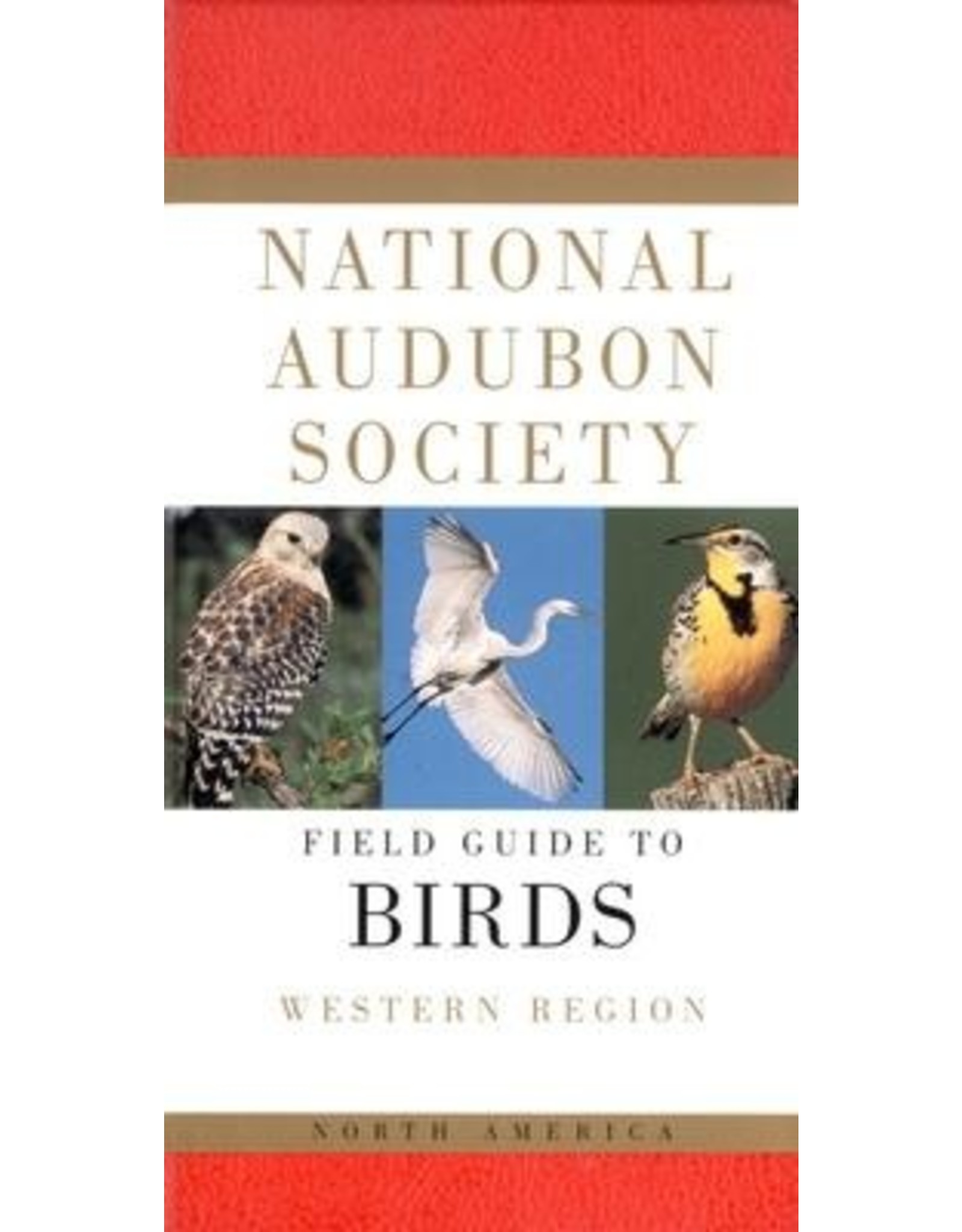 BOOK AUDUBON FIELD GUIDE BIRDS