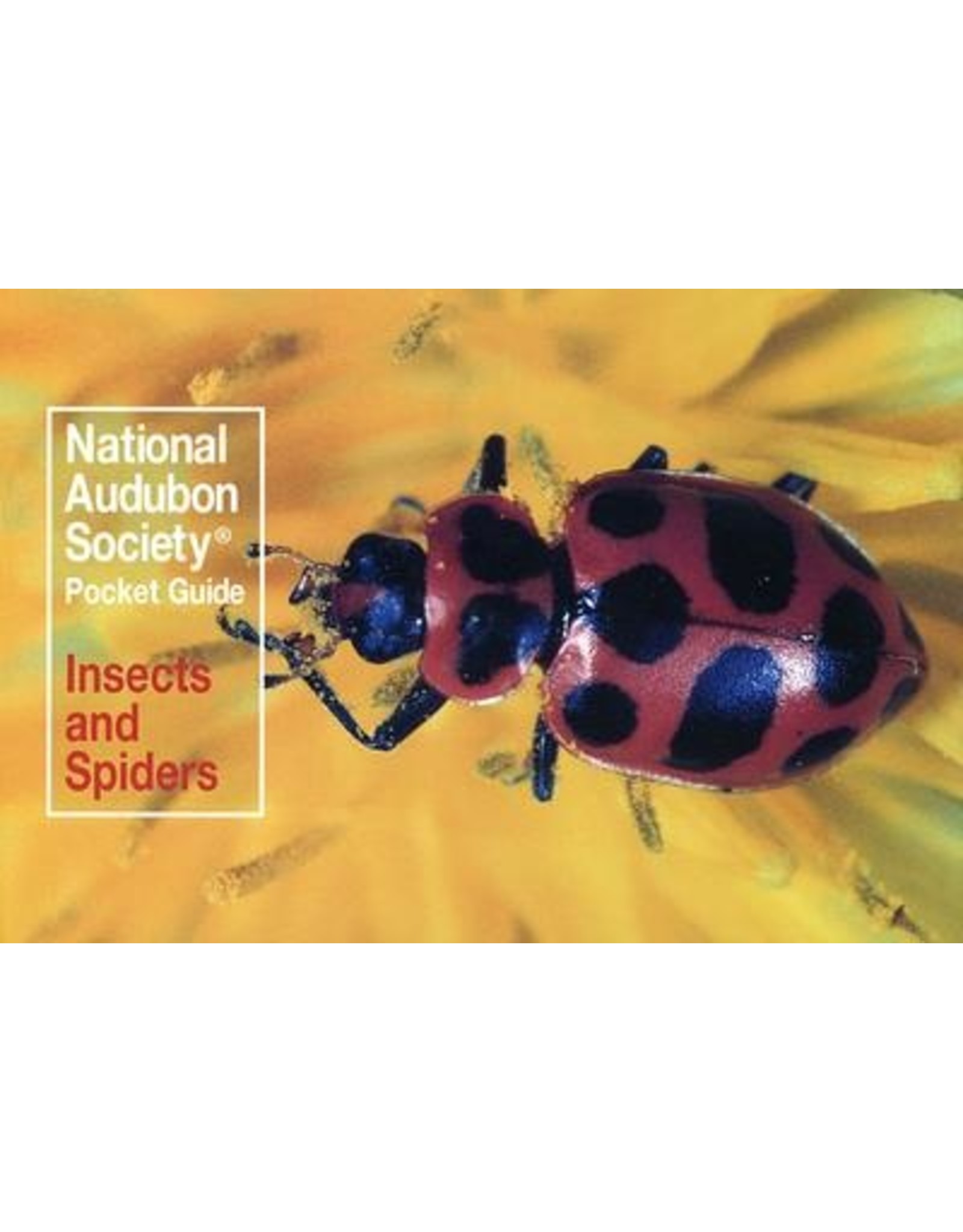 BOOK AUDUBON POCKET INSECTS AND SPIDERS