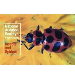 BOOK AUDUBON POCKET INSECTS AND SPIDERS
