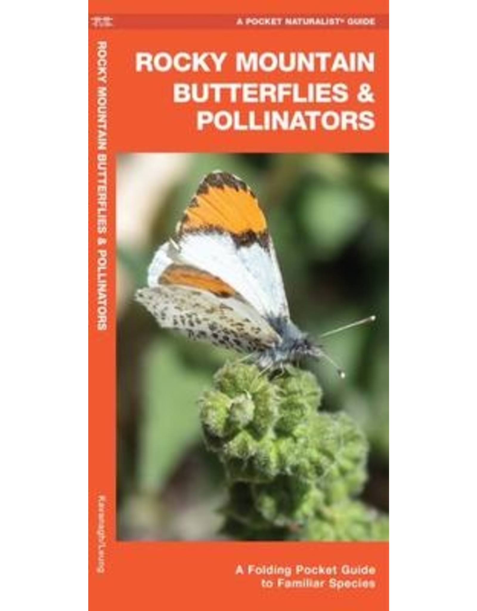 POCKET BOOK WP ROCKY MTN BUTTERFLIES AND POLLINATORS