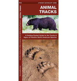 POCKET BOOK WP ANIMAL TRACKS