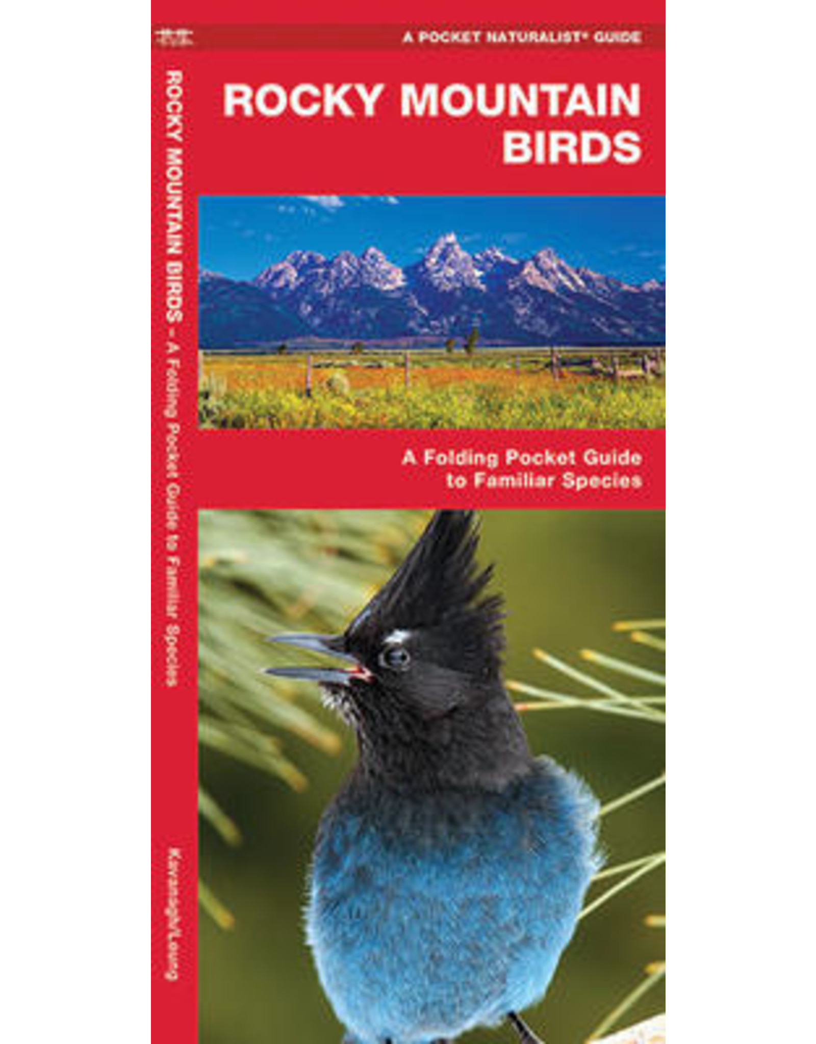 POCKET BOOK WP ROCKY MTN BIRDS