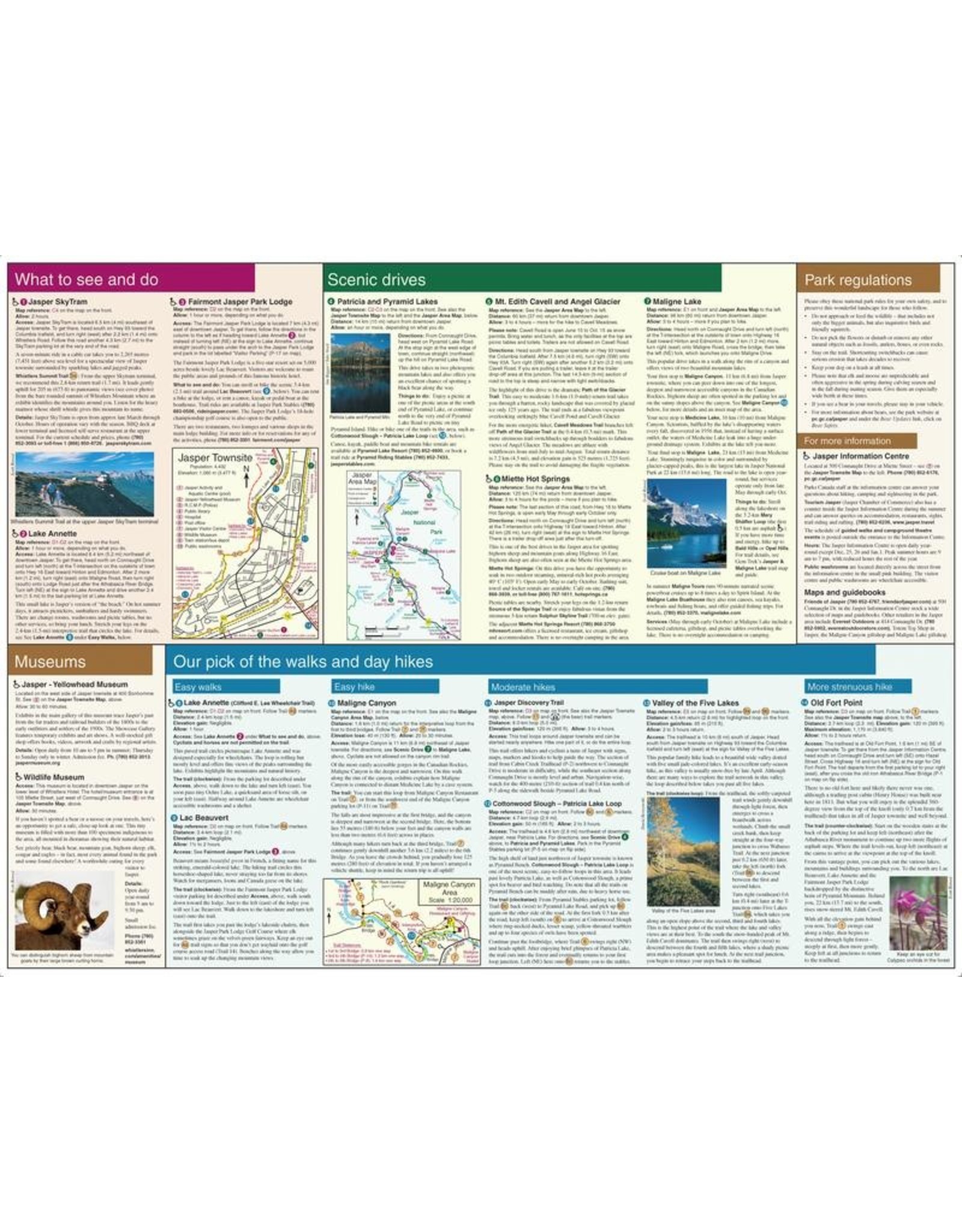 MAP GEM TREK JASPER UP-CLOSE