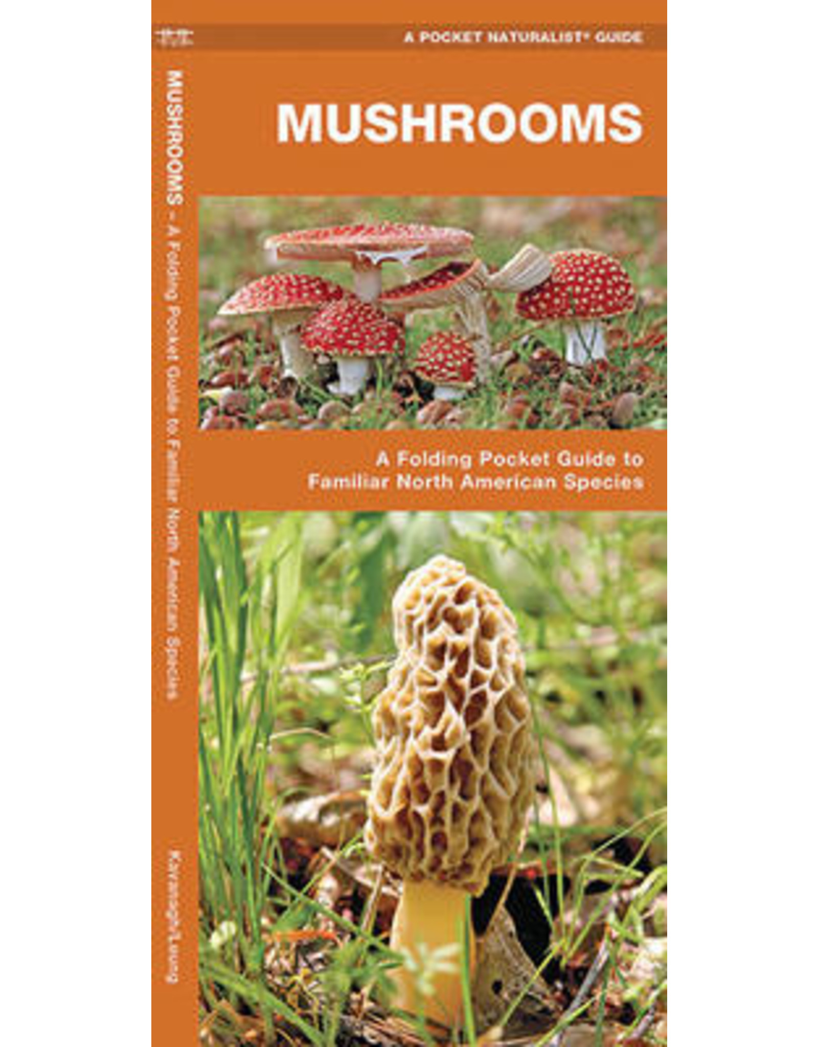 POCKET BOOK WP MUSHROOMS N.A
