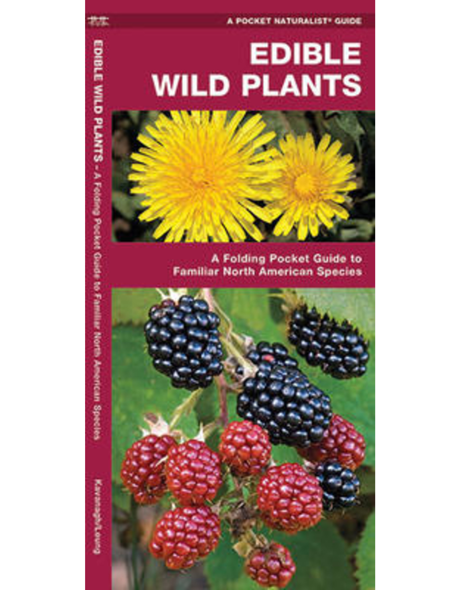 POCKET BOOK WP FORAGING FOR WILD EDIBLE FOODS