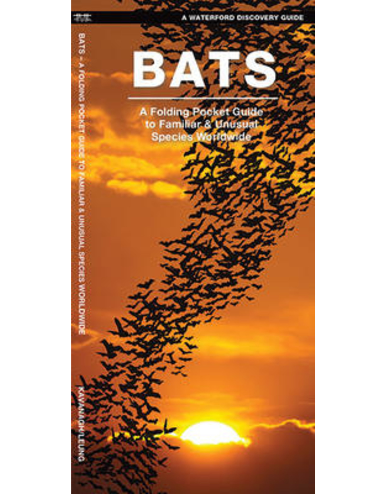 POCKET BOOK WP BATS