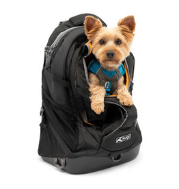 KURGO G-TRAIN K9 PACK BLACK/ORGANGE