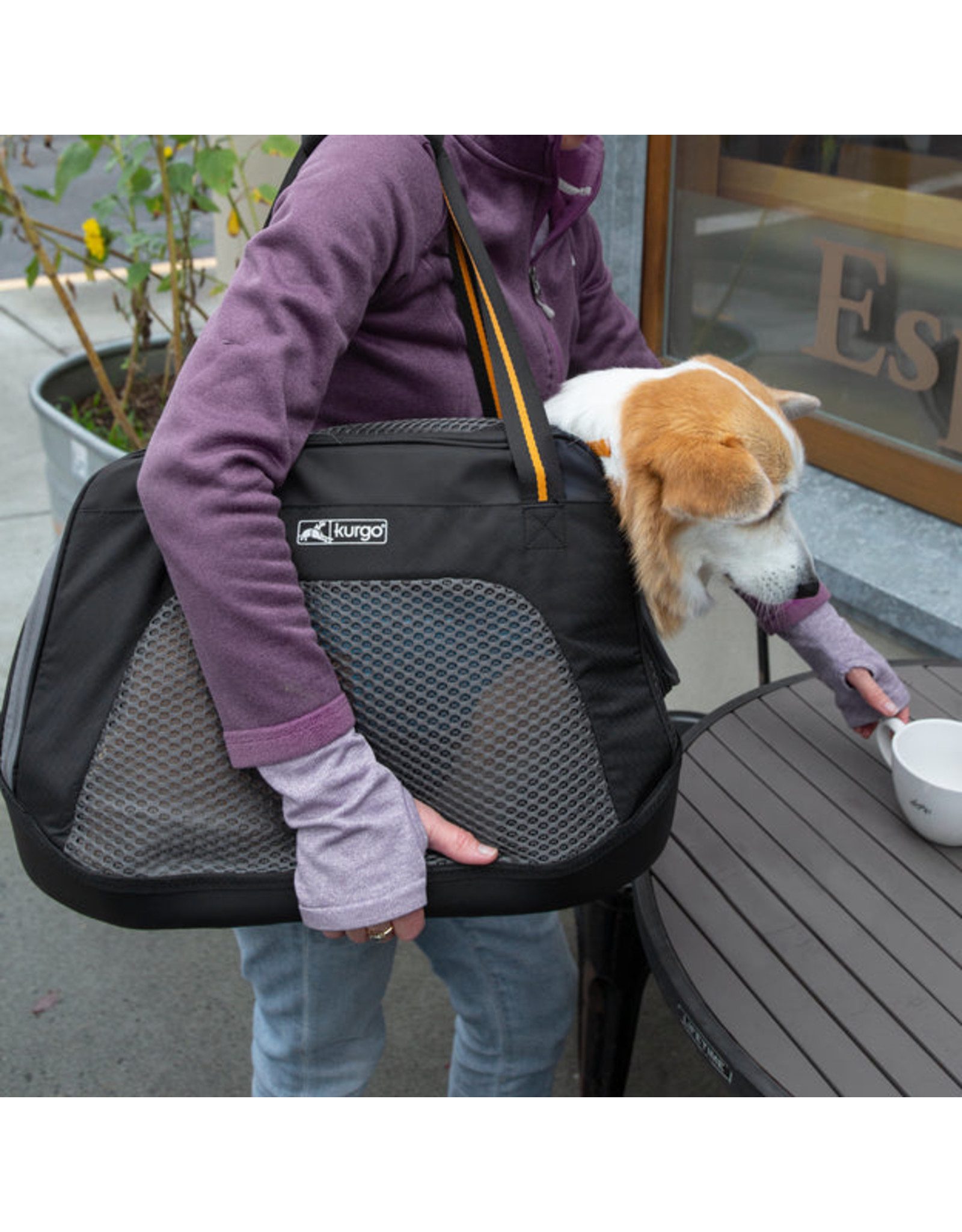 KURGO EXPLORER DOG CARRIER