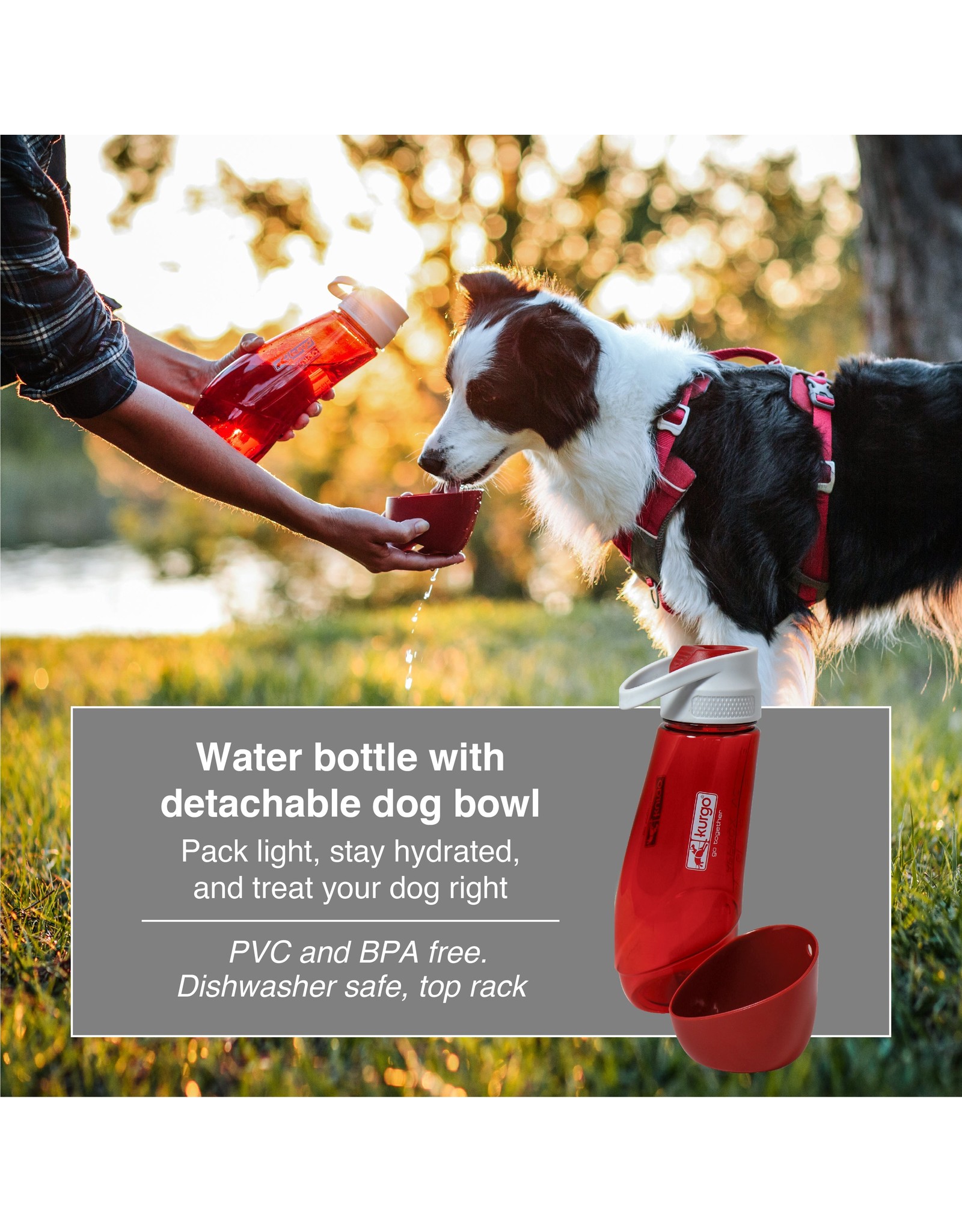KURGO GOURD WATER BOTTLE & BOWL
