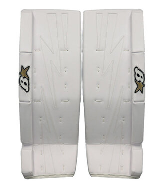 Brian's Brian's NETZERO 2 JUNIOR GOALIE PADS
