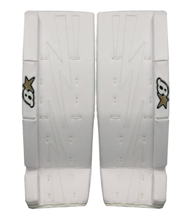 Brian's NETZERO 2 JUNIOR GOALIE PADS