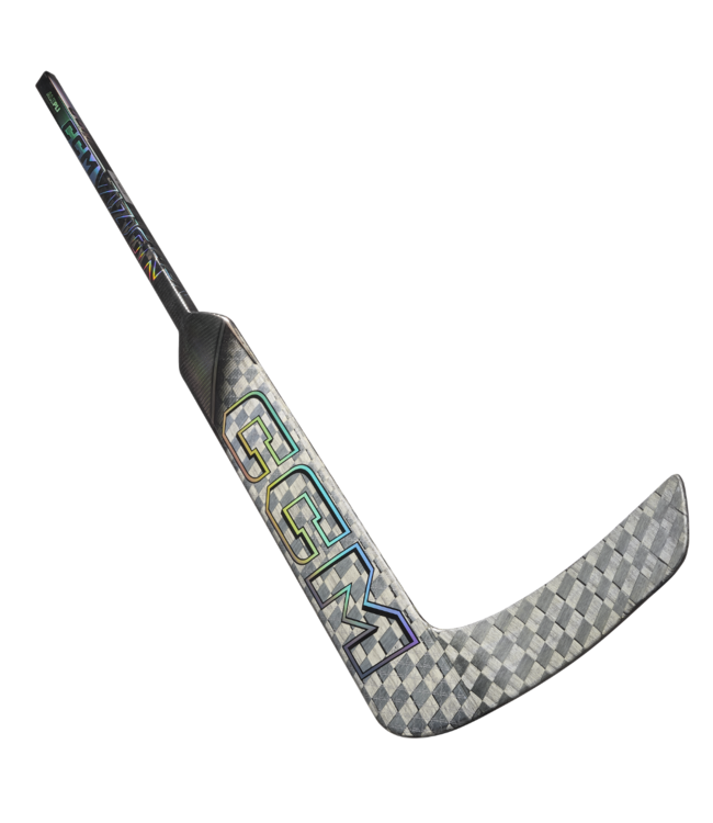 VIZION SENIOR GOALIE STICK