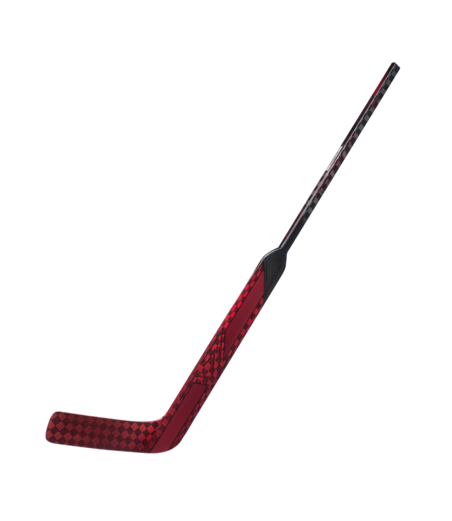 VIZION SENIOR GOALIE STICK