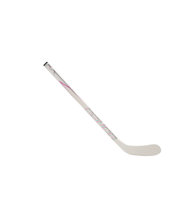 BAUER 2025 MYSTERY MINI STICKS