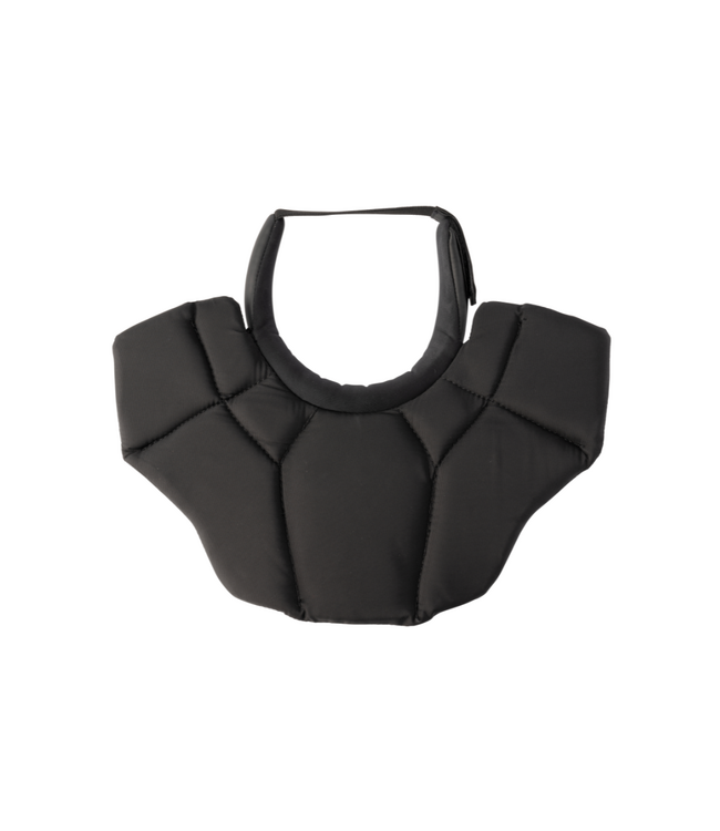 PRO+ NONCERT CLAVICLE