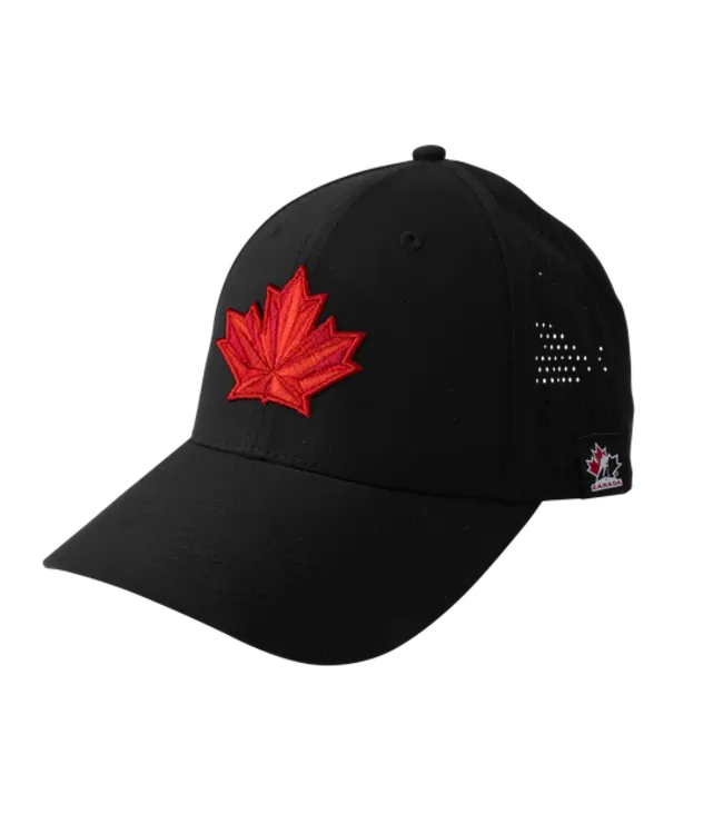 S25 BAUER HC OLY PERFORMANCE HAT SR