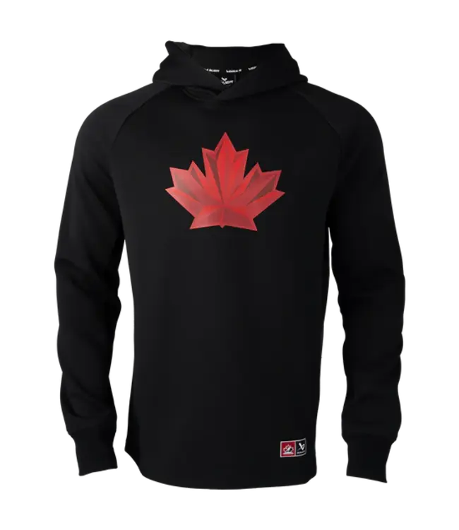 S25 BAUER HC OLY FLC PERF HOODIE  SR