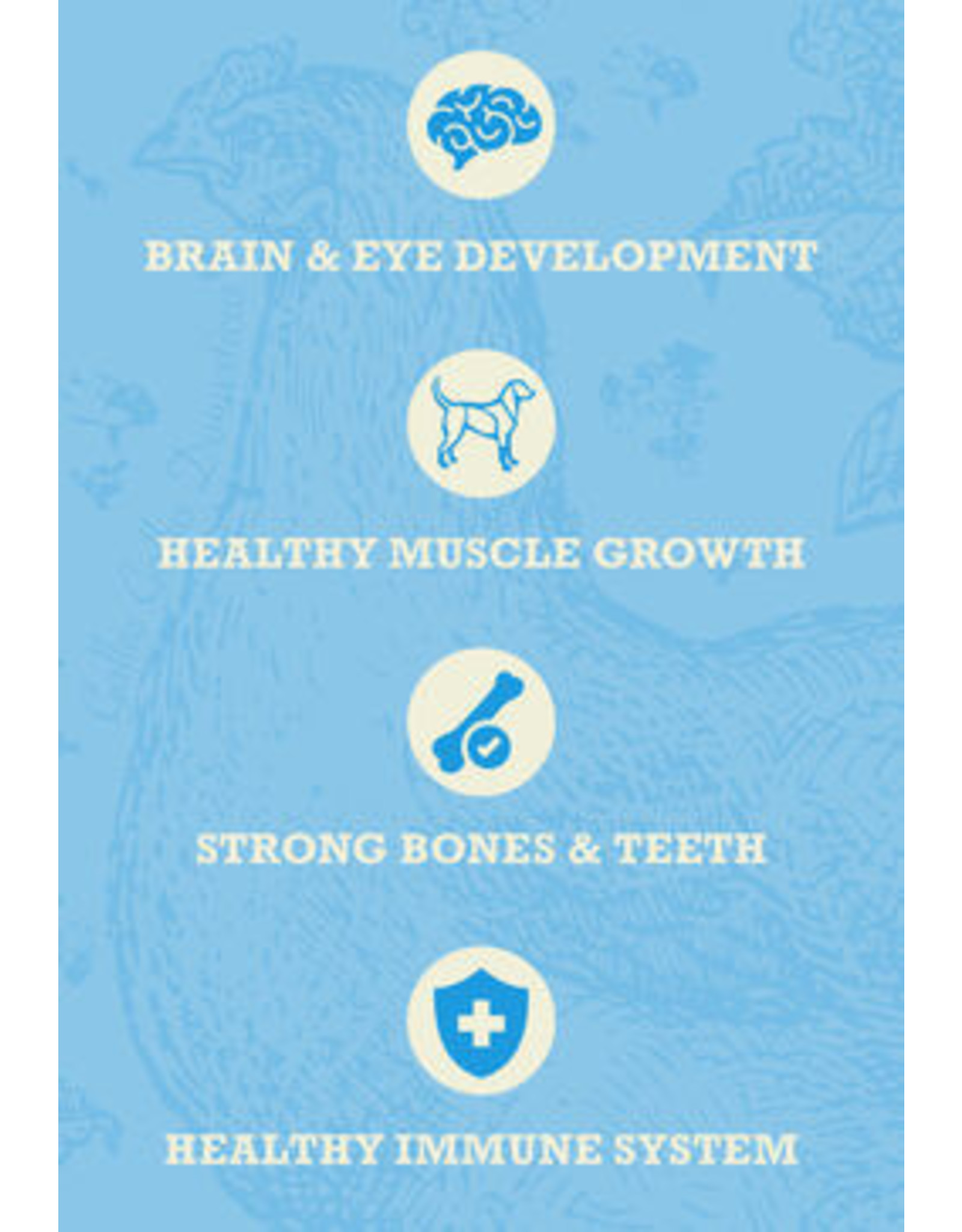 Acana Healthy Grains Puppy