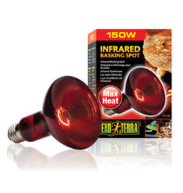 Exo Terra Infrared Heat Bulb 150W