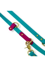 Rocky Mountain Dog Rocky Mountain Dog Hands-Free Biothane 6ft Lagoon/Plum