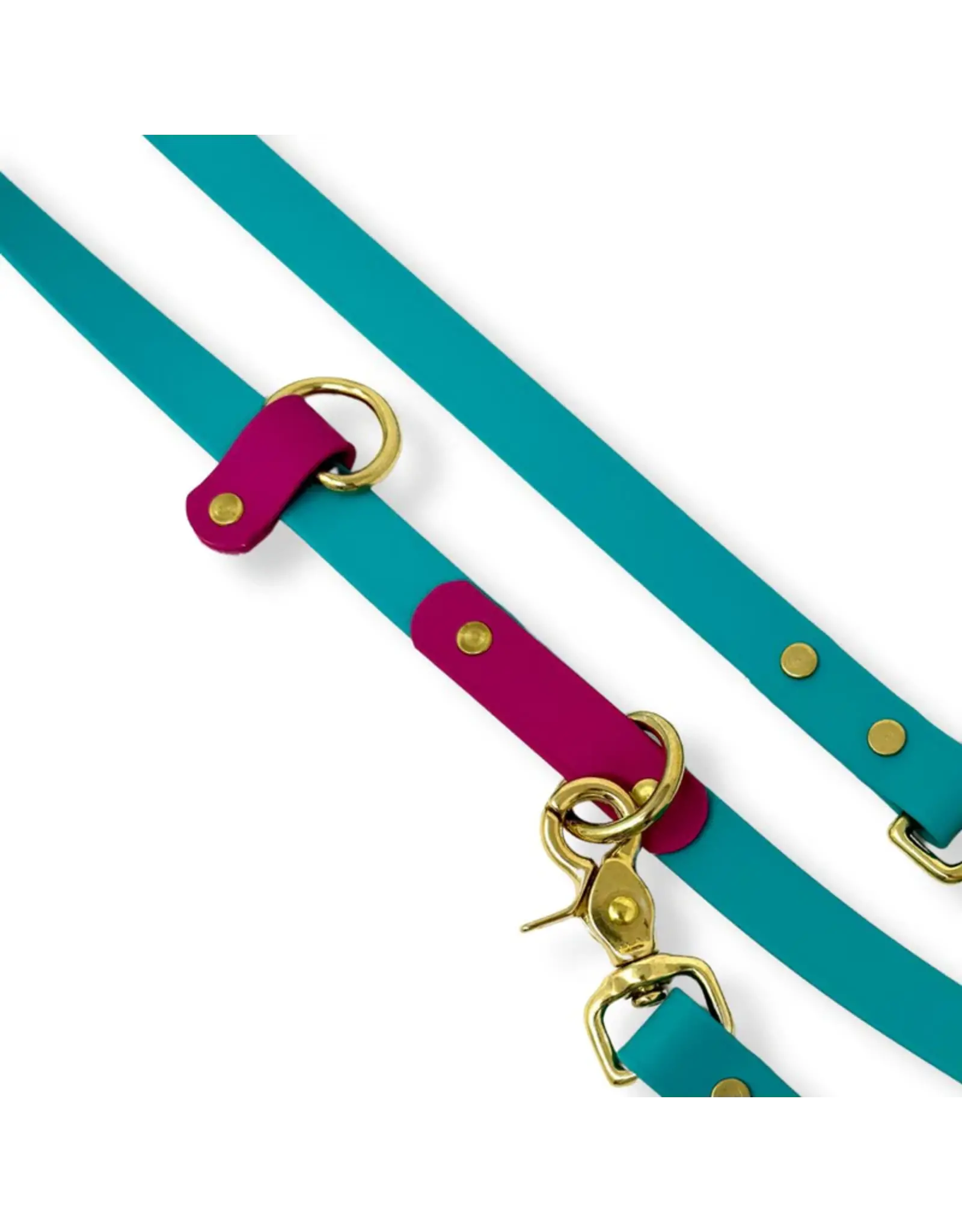 Rocky Mountain Dog Rocky Mountain Dog Hands-Free Biothane 6ft Lagoon/Plum