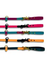 Rocky Mountain Dog Rocky Mountain Dog Hands-Free Biothane 6ft Kale/Tangerine