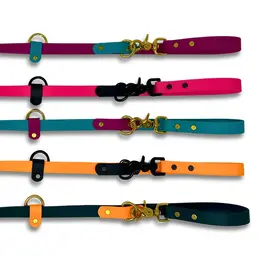 Rocky Mountain Dog Rocky Mountain Dog Hands-Free Biothane 6ft Plum/Lagoon