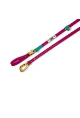 Rocky Mountain Dog Rocky Mountain Dog Hands-Free Biothane 6ft Plum/Lagoon