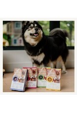 Faim Museau Faim Museau Frozen Treats 6/30g