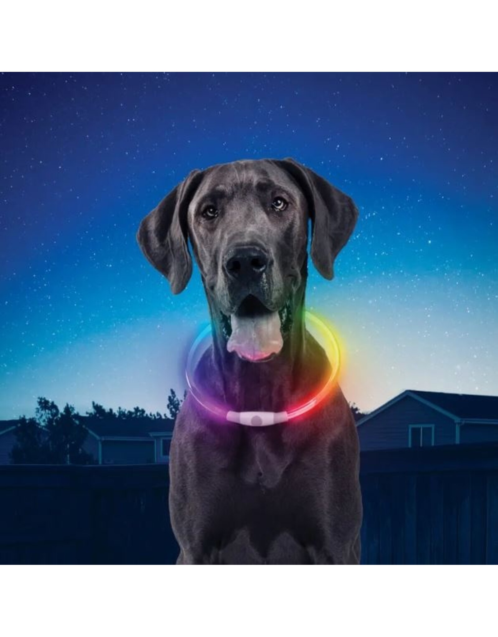 NiteHowl LED Rechargeable Safety Necklace Disc-O