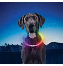 NiteHowl LED Rechargeable Safety Necklace Disc-O