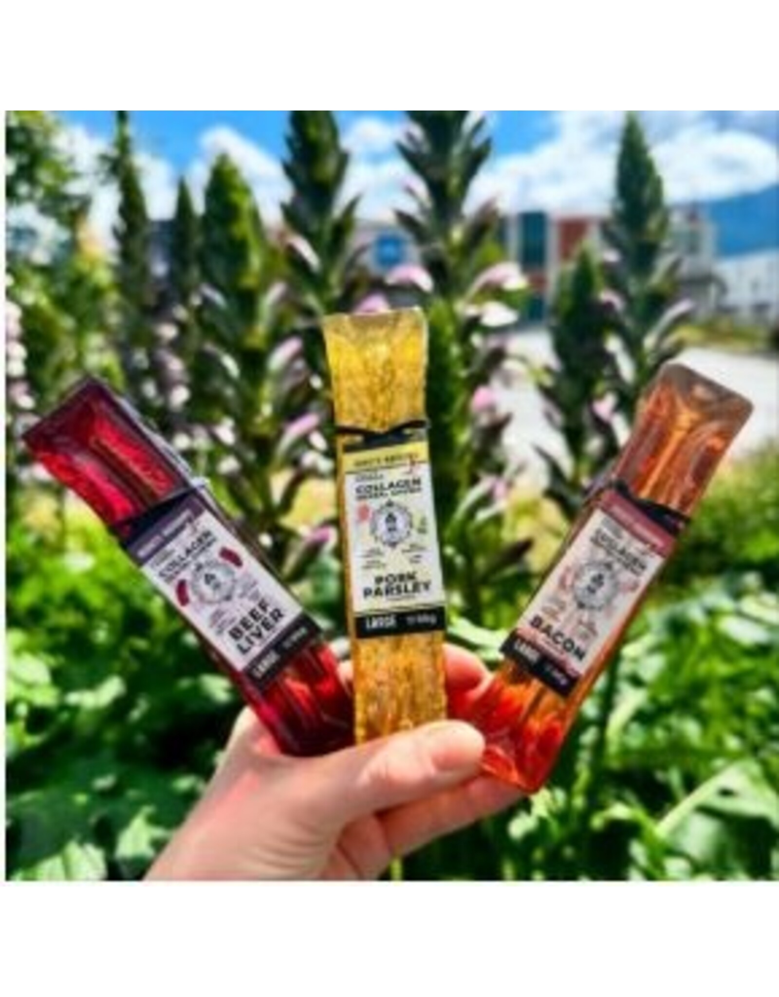 Wag & Bright Supply Co. Wag & Bright Collagen Dental Chew