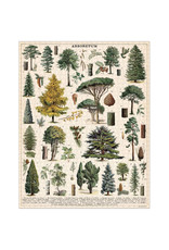 Cavallini Papers & Co. Cavallini Puzzle Arboretum 1,000 Pcs