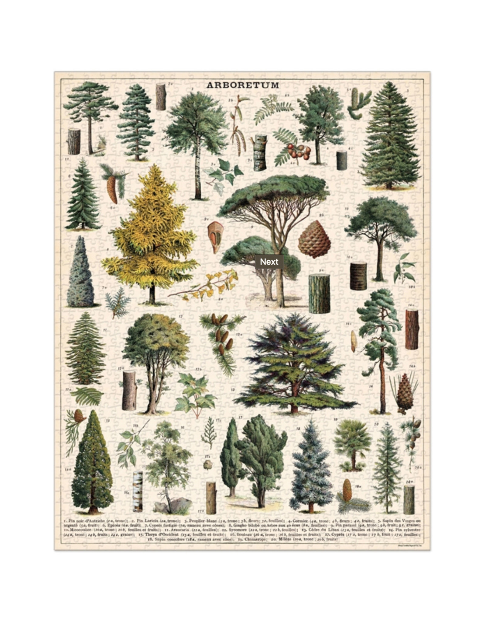 Cavallini Papers & Co. Cavallini Puzzle Arboretum 1,000 Pcs