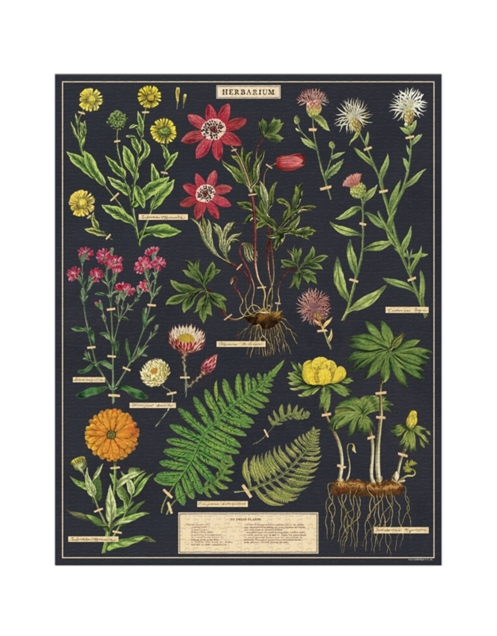 Cavallini Papers & Co. Cavallini Puzzle Herbarium 1,000 Pcs