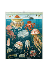 Cavallini Papers & Co. Cavallini Puzzle Jellyfish 1,000 Pcs