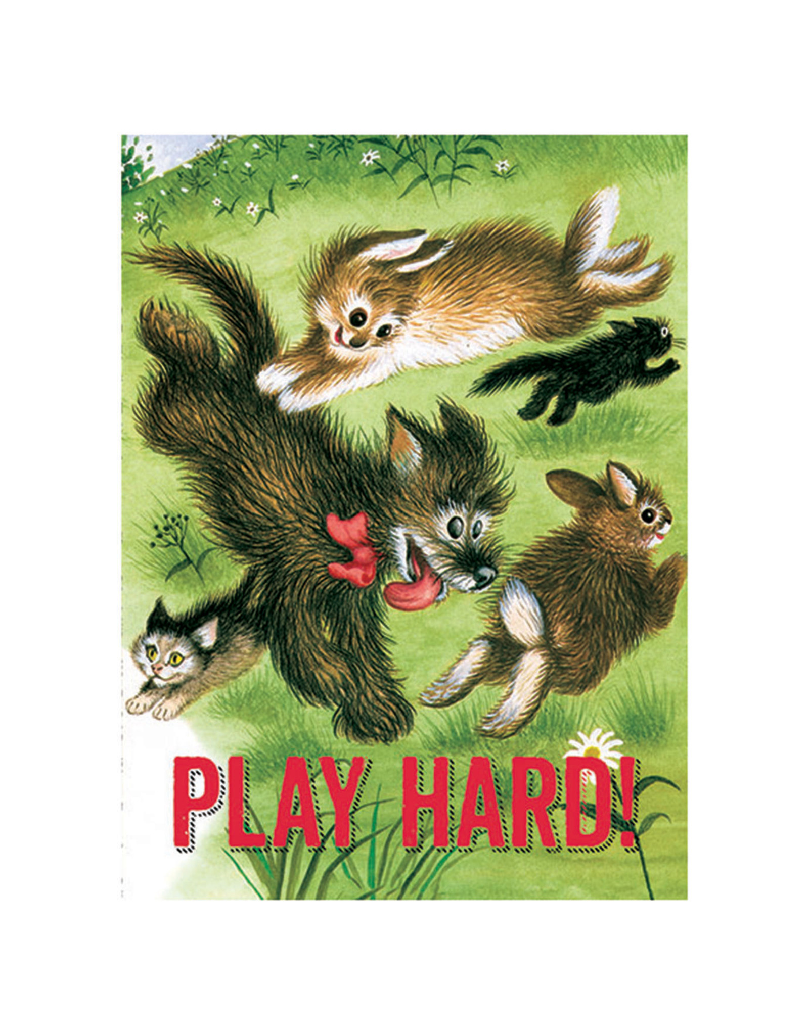 Laughing Elephant Animals Playing on Grass Notecard A7 Birthday
