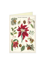 Cavallini Papers & Co. Christmas Botanica Brittany Notecard