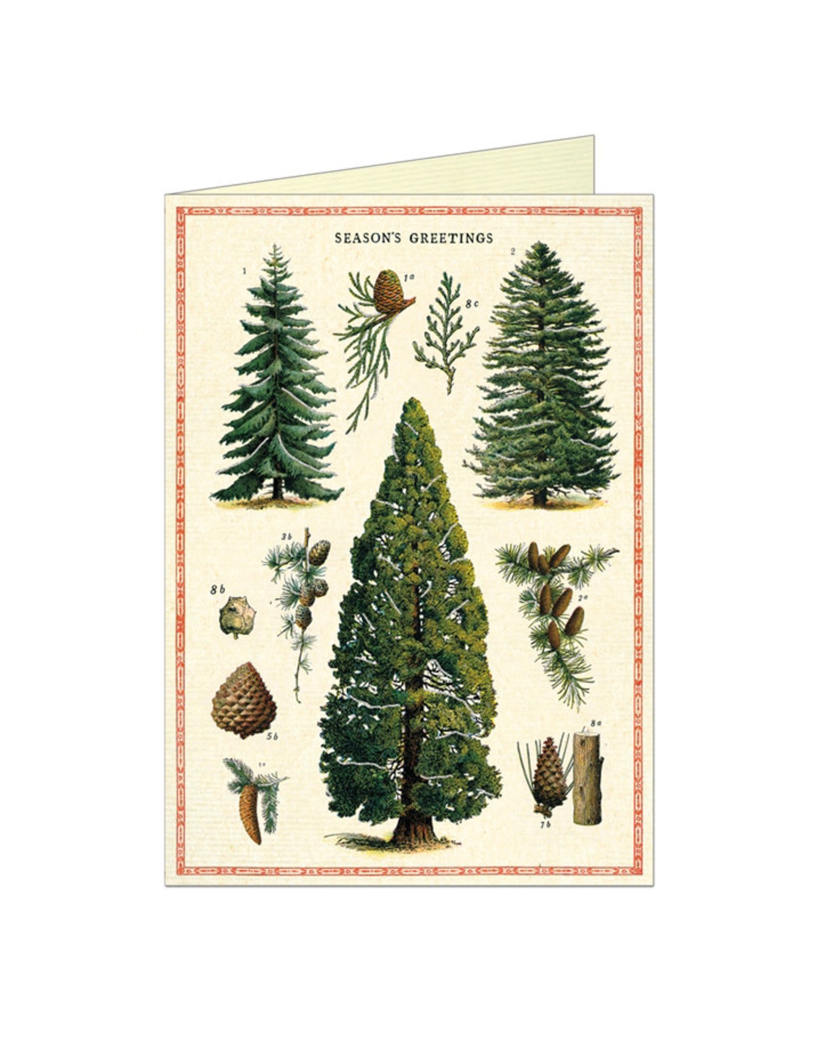 Cavallini Papers & Co. Christmas Trees Brittany Notecard