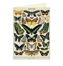 Cavallini Papers & Co. Butterflies Brittany Notecard